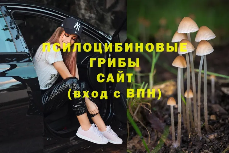 Псилоцибиновые грибы MAGIC MUSHROOMS  ссылка на мегу ТОР  Кашира 